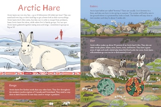 Sample content 4_Animals Illustrated: Arctic Land Mammals