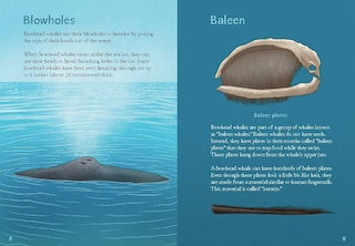 Sample content 2_Animals Illustrated: Bowhead Whale