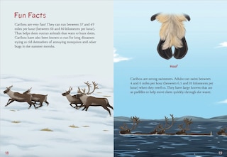 Sample content 2_Animals Illustrated: Caribou