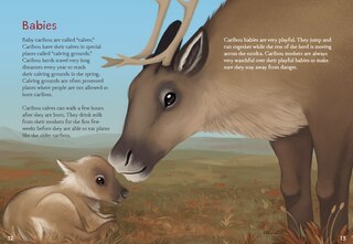 Sample content 4_Animals Illustrated: Caribou