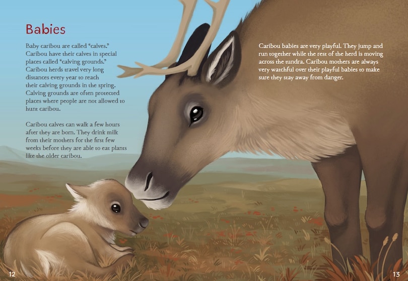 Sample content 4_Animals Illustrated: Caribou