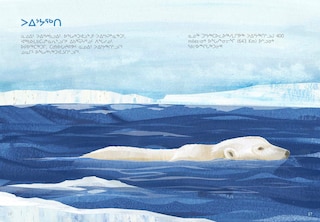 Sample content 2_Animals Illustrated: Polar Bear