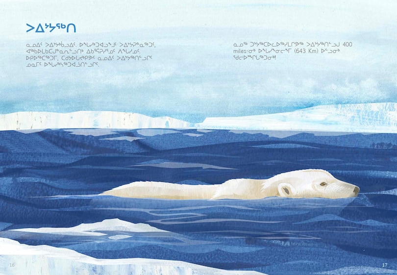 Sample content 2_Animals Illustrated: Polar Bear