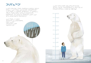 Sample content 3_Animals Illustrated: Polar Bear