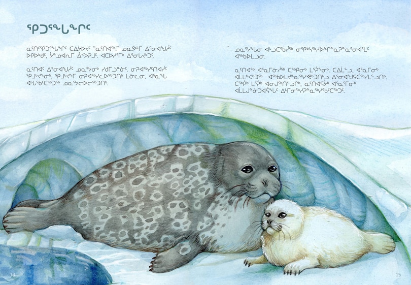 Sample content_Animals Illustrated: Ringed Seal