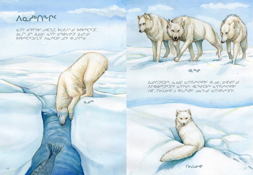 Sample content 3_Animals Illustrated: Ringed Seal