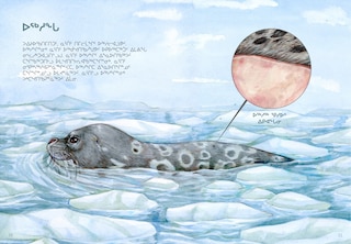 Sample content 5_Animals Illustrated: Ringed Seal