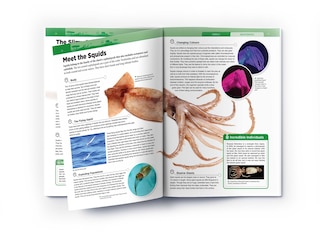 Aper&ccedil;u du contenu_Animals - Invertebrates : Knowledge Encyclopedia For Children