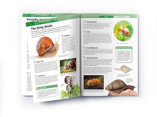 Aper&ccedil;u du contenu 2_Animals - Invertebrates : Knowledge Encyclopedia For Children