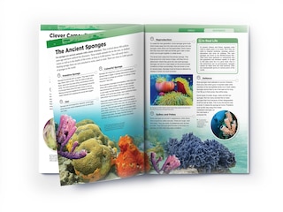 Aper&ccedil;u du contenu 3_Animals - Invertebrates : Knowledge Encyclopedia For Children