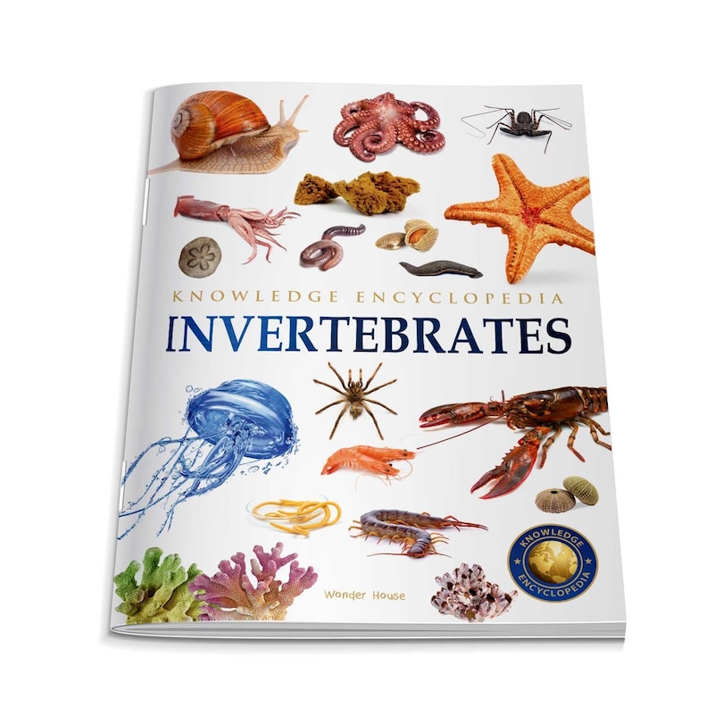 Aper&ccedil;u du contenu 4_Animals - Invertebrates : Knowledge Encyclopedia For Children