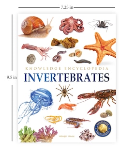 Aper&ccedil;u du contenu 5_Animals - Invertebrates : Knowledge Encyclopedia For Children