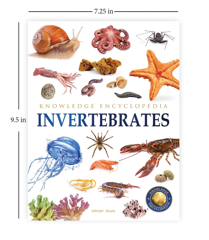 Aper&ccedil;u du contenu 5_Animals - Invertebrates : Knowledge Encyclopedia For Children