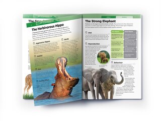 Sample content_Animals: Mammals