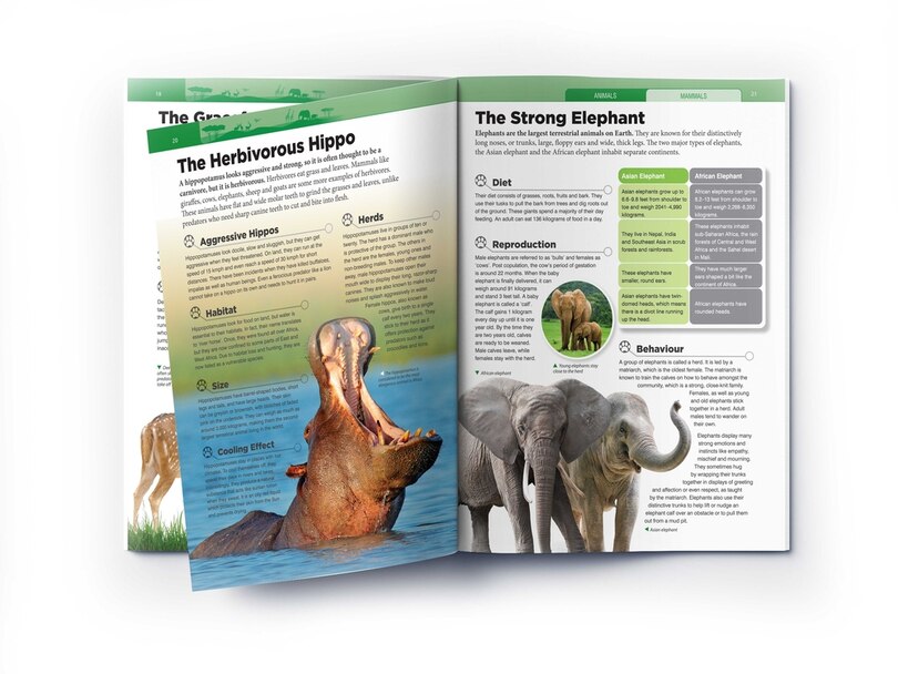 Sample content_Animals: Mammals