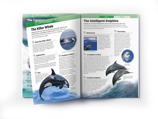 Sample content 2_Animals: Mammals