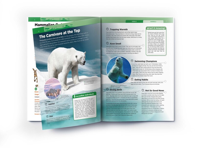 Sample content 3_Animals: Mammals