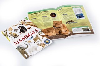 Sample content 4_Animals: Mammals