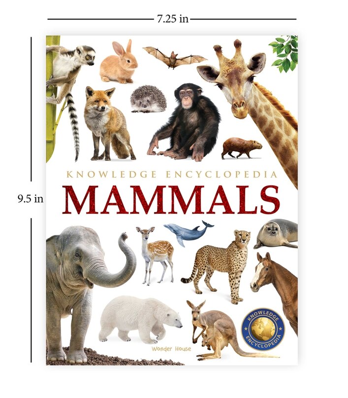 Sample content 5_Animals: Mammals