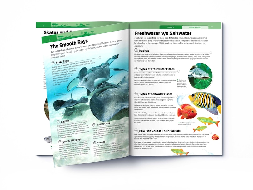 Aper&ccedil;u du contenu 2_Animals: Marine Animals