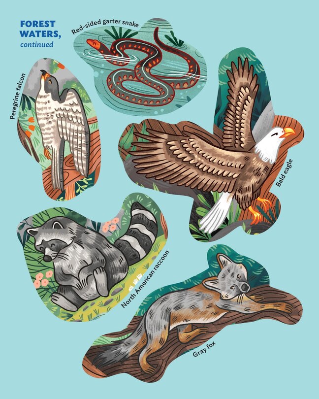 Aperçu du contenu_Animals of the Forest Sticker Poster