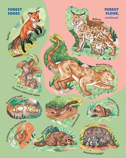 Aperçu du contenu 2_Animals of the Forest Sticker Poster