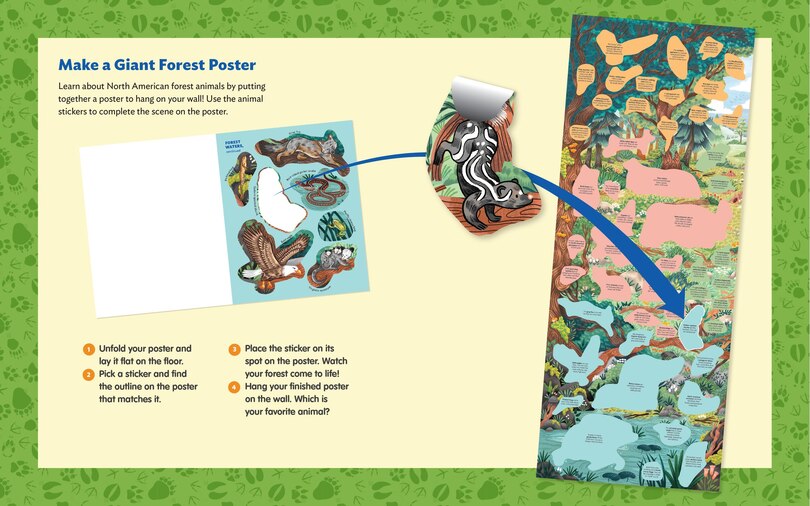 Aperçu du contenu 4_Animals of the Forest Sticker Poster