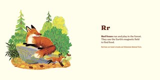 Sample content_Animals of the National Parks