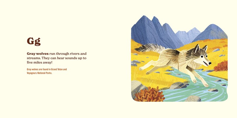 Sample content 3_Animals of the National Parks