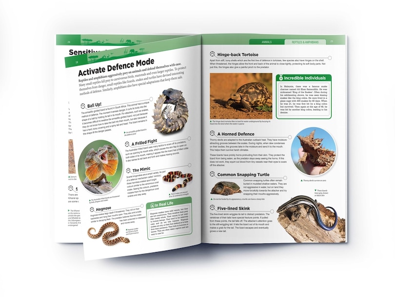 Aper&ccedil;u du contenu_Animals: Reptiles and Amphibians