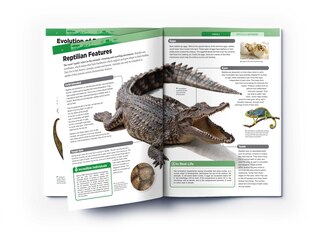 Aper&ccedil;u du contenu 3_Animals: Reptiles and Amphibians