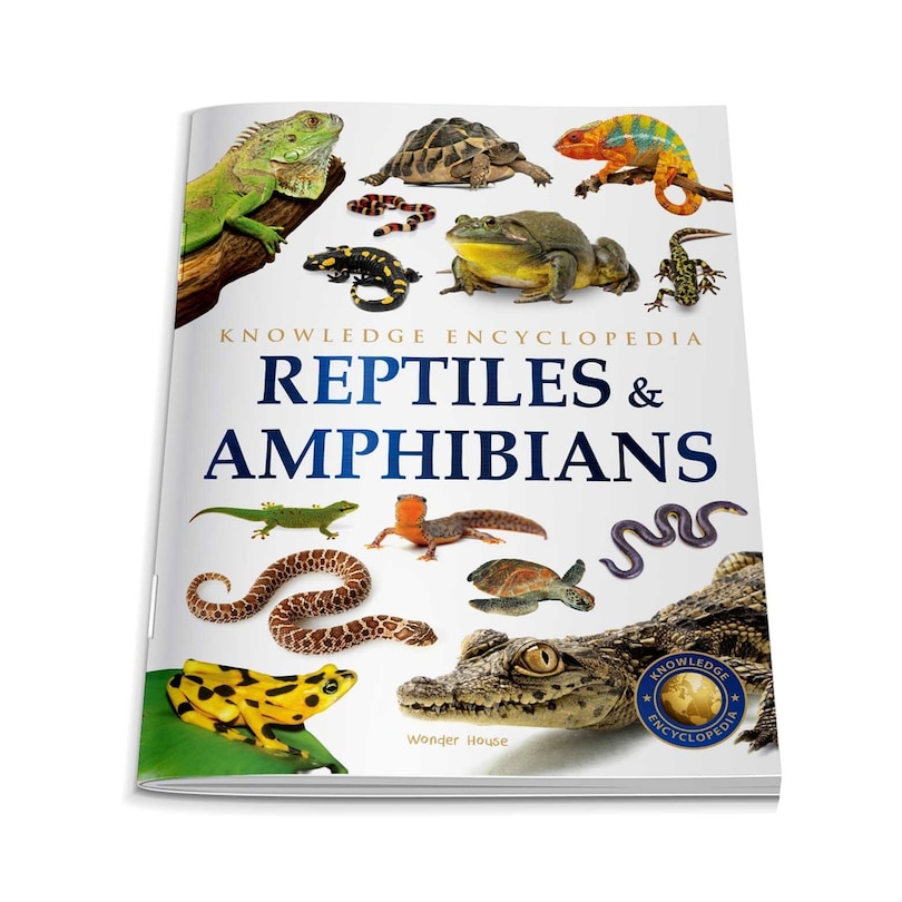 Aper&ccedil;u du contenu 4_Animals: Reptiles and Amphibians