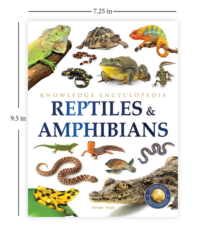 Aper&ccedil;u du contenu 5_Animals: Reptiles and Amphibians