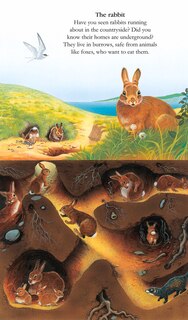 Sample content 3_Animals Underground