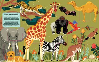 Aper&ccedil;u du contenu_Animals