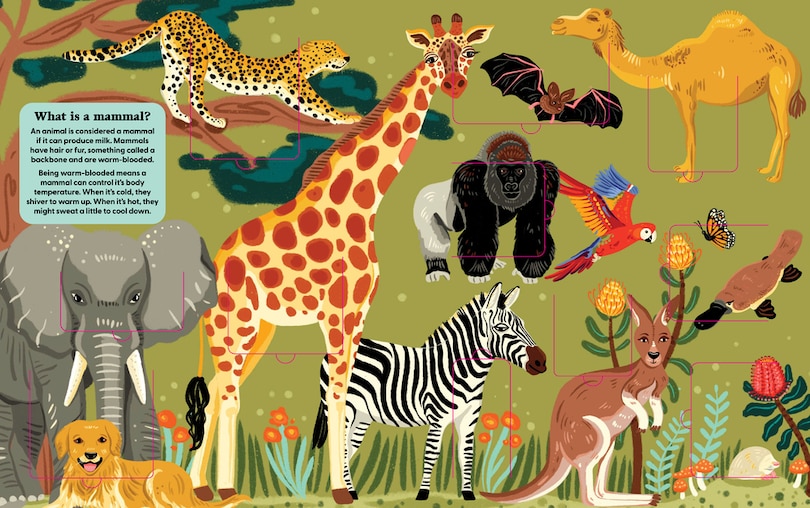 Aper&ccedil;u du contenu_Animals