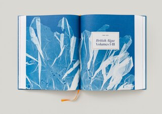 Sample content 3_Anna Atkins. Cyanotypes
