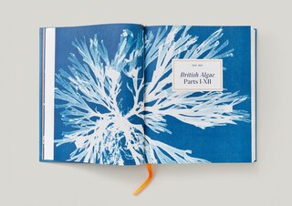 Sample content 5_Anna Atkins. Cyanotypes