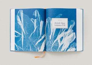 Sample content 3_Anna Atkins. Cyanotypes