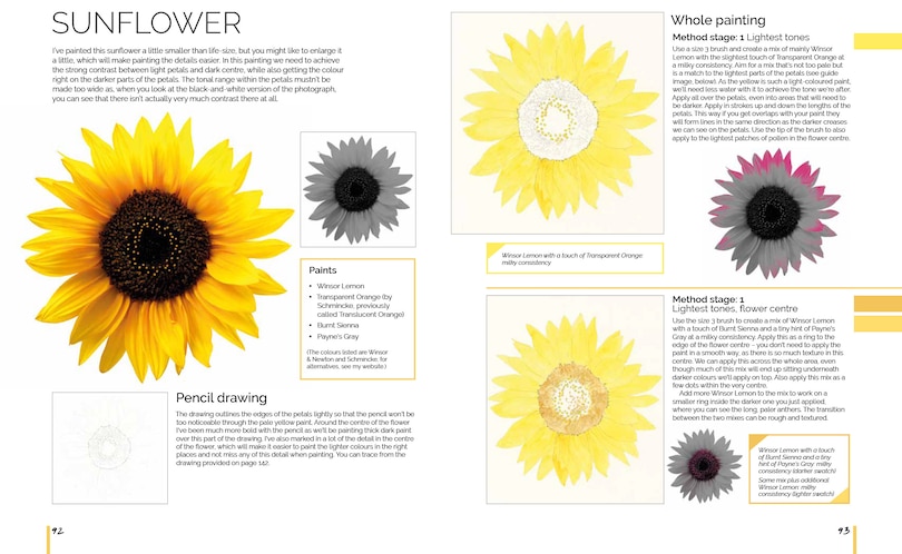 Aperçu du contenu_Anna Mason's Watercolour World