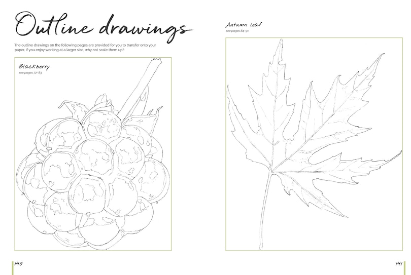 Aperçu du contenu 3_Anna Mason's Watercolour World