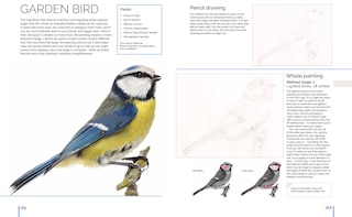 Aperçu du contenu 4_Anna Mason's Watercolour World