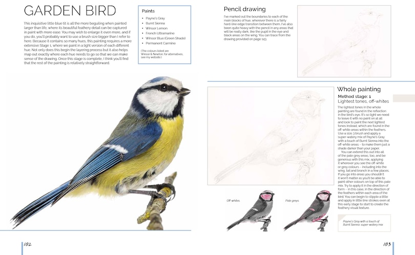 Aperçu du contenu 4_Anna Mason's Watercolour World