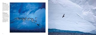 Aperçu du contenu 2_Antarctica
