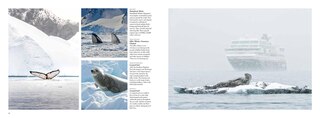 Aperçu du contenu 5_Antarctica