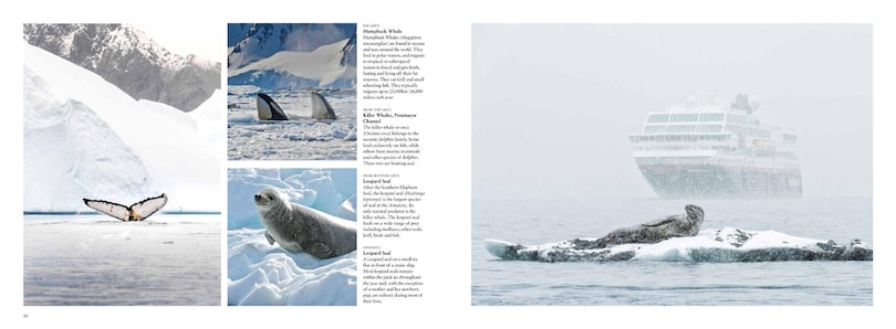Aperçu du contenu 5_Antarctica