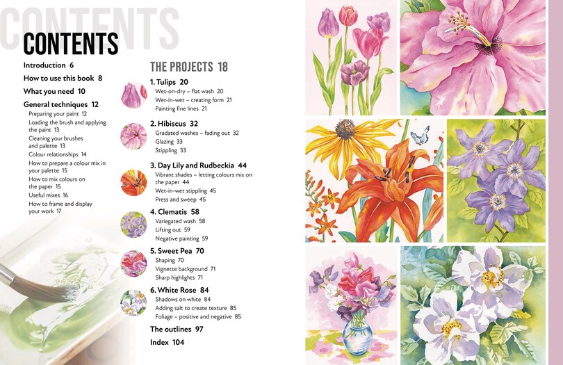 Sample content_Anyone Can Paint Watercolour Flowers