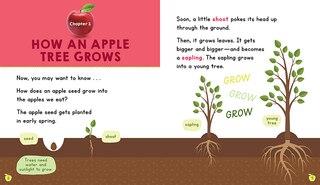 Aperçu du contenu 3_Apples (Learn About: Fall)