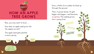 Aperçu du contenu 3_Apples (Learn About: Fall)