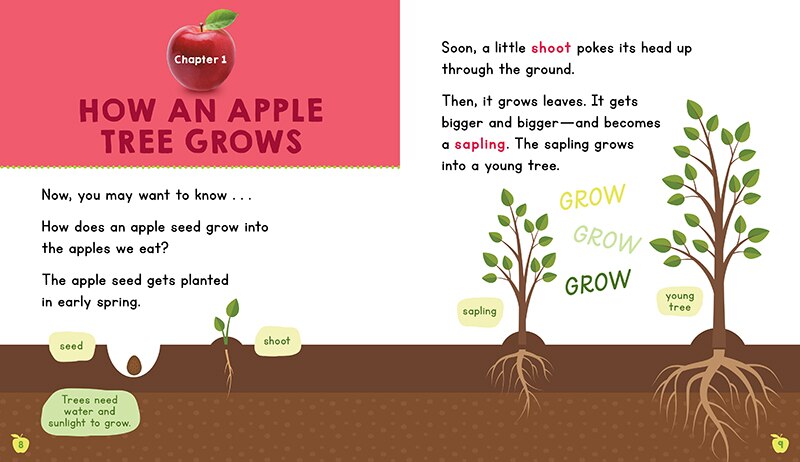 Aperçu du contenu 3_Apples (Learn About: Fall)